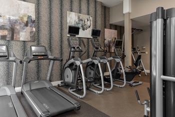 a gym with various exercise machines and paintings on the wal at The Pointe at St. Joseph Apartments, Indiana, 46617l